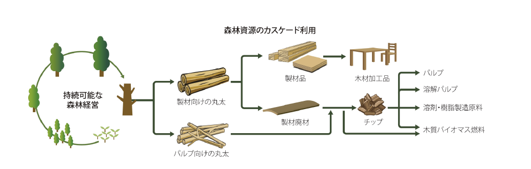 森林資源のカスケード利用