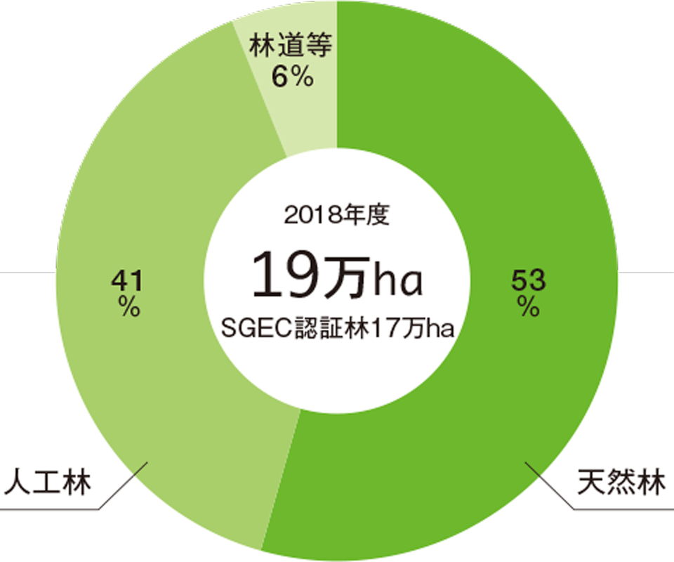 王子グループ 社有林・分収林 面積189千ha 蓄積23,500千m3 蓄積割合 天然林 52.1％ 人工林 47.9％ 面積割合 天然林 53.3％ 人工林 41.1％ その他 5.5％ 2014年3月現在